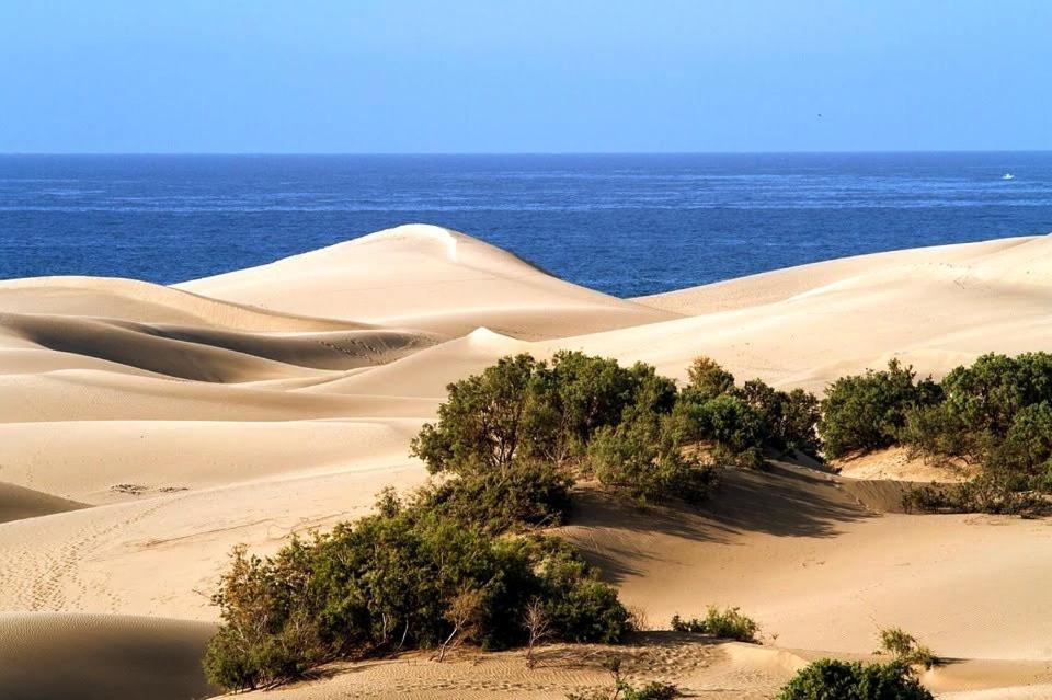 Cozy Bungalow Maspalomas Green Екстер'єр фото